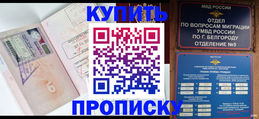 помощь с оформлением документов по РВП в Пласте